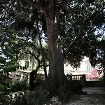 Garden At Palazzo Famularo לצ'ה